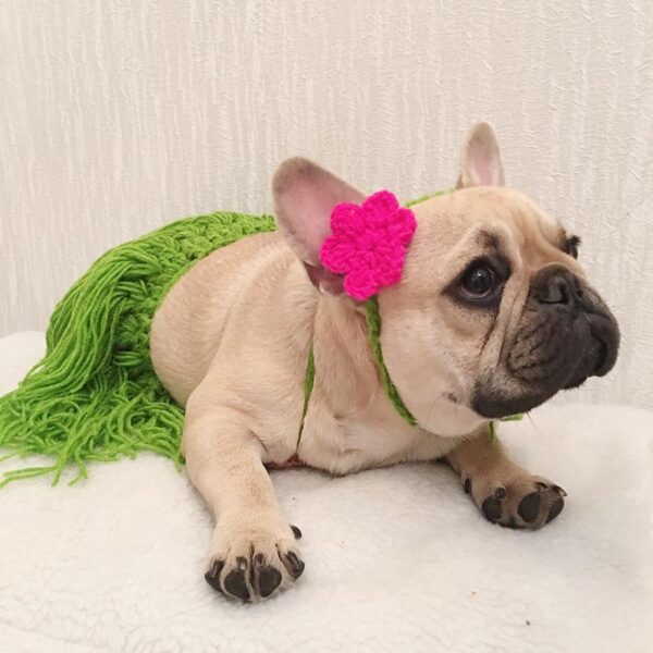 Frenchie World Shop French Bulldog Summer Hawaiian Hula Costume