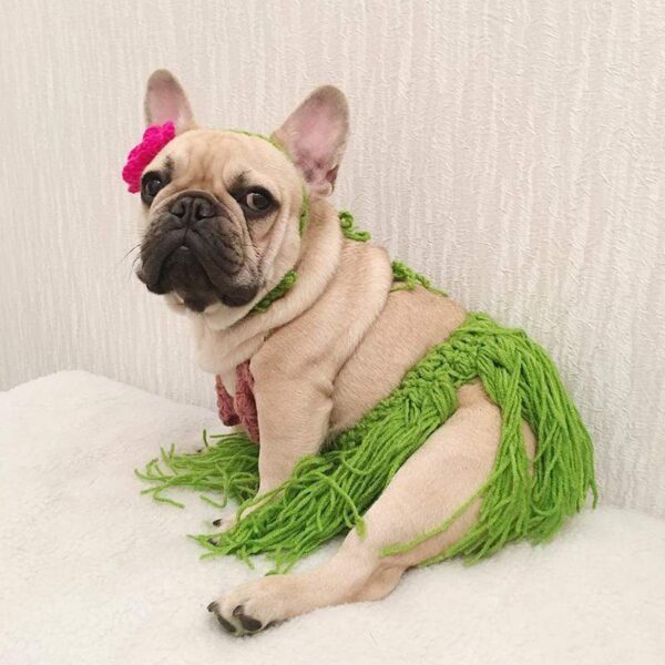 Frenchie World Shop French Bulldog Summer Hawaiian Hula Costume