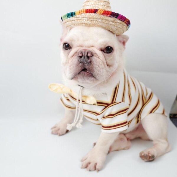 Frenchie World Shop French Bulldog Summer Straw Hat