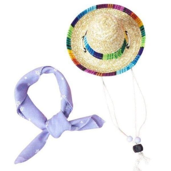 Frenchie World Shop Z / M French Bulldog Summer Straw Hat