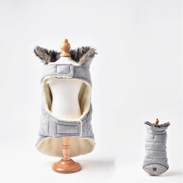 Frenchie World Shop French Bulldog Teddy Jacket