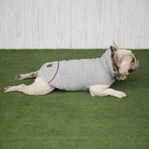 Frenchie World Shop Light Grey / L French Bulldog Teddy Jacket