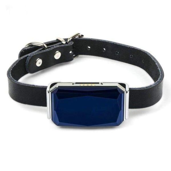 Frenchie World Shop French Bulldog Tracking Collar