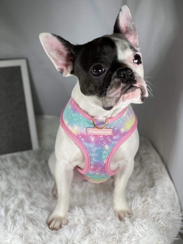 Purple Uranus Leashes, Collars & Petwear French Bulldog Unicorn Reversible Harness