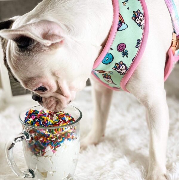 Purple Uranus Leashes, Collars & Petwear French Bulldog Unicorn Reversible Harness