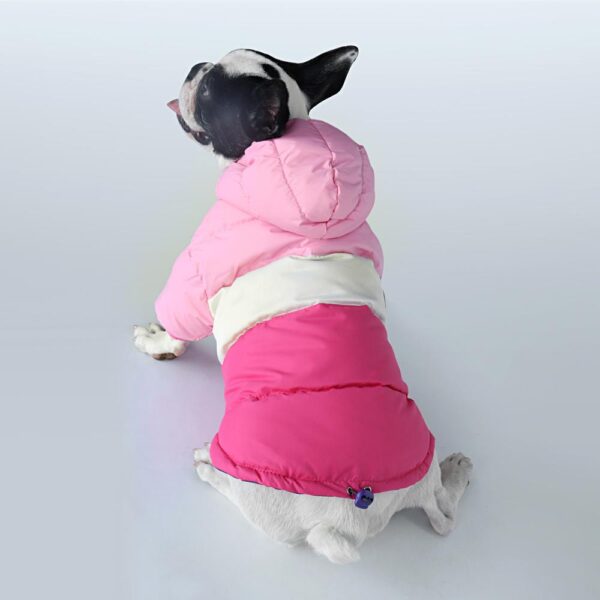 Frenchie World Shop Dog Clothing French Bulldog Waterproof Down Jacket