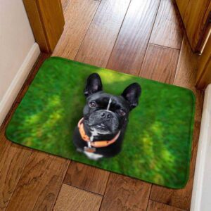 Frenchie World Shop 6 / 40cmx60cm French Bulldog Welcome Door Mats