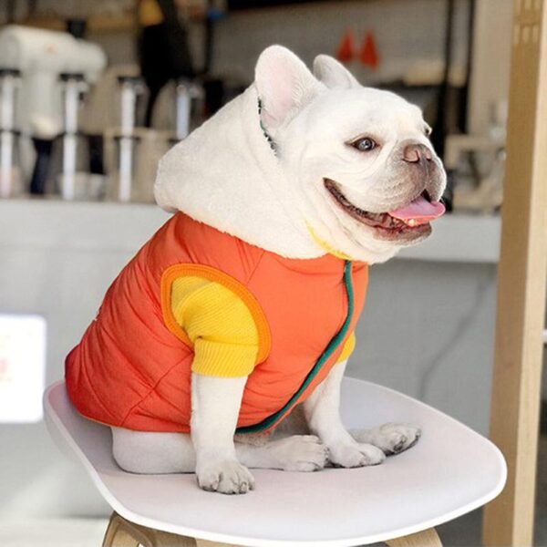 Frenchie World Shop French Bulldog Winter Panel Hooded Jacket