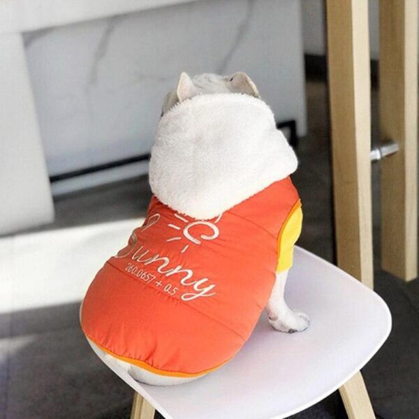 Frenchie World Shop French Bulldog Winter Panel Hooded Jacket