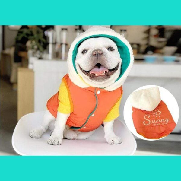 Frenchie World Shop French Bulldog Winter Panel Hooded Jacket