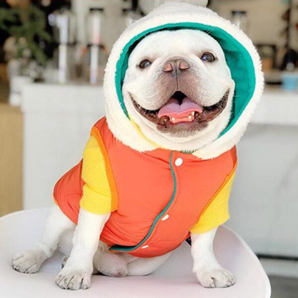 Frenchie World Shop Orange / S French Bulldog Winter Panel Hooded Jacket