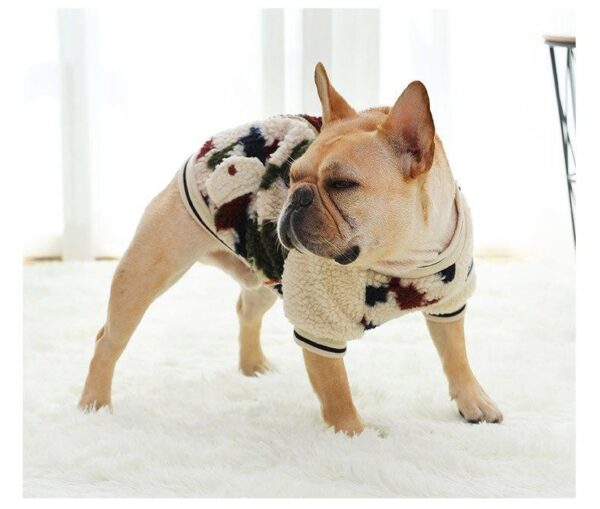 Frenchie World Shop French Bulldog Woolen Multicolored Fuzzy Sweater