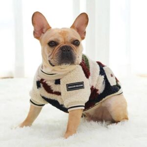 Frenchie World Shop Camouflage / S French Bulldog Woolen Multicolored Fuzzy Sweater