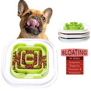 Frenchie World Shop Frenchie Anti-Bloat Feeding Bowl