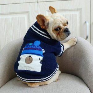 Frenchie World Shop bear / L Frenchie Applique Sweater