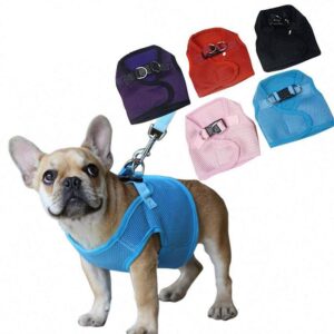 Frenchie World Shop Dog Accessories Frenchie Harness Set