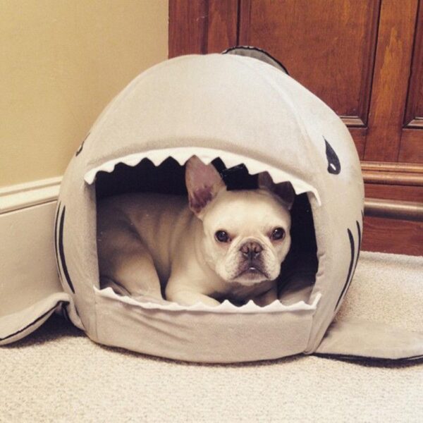 Frenchie World Shop Frenchie House Shark (Washable)