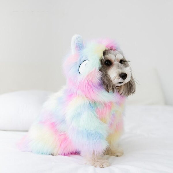 Frenchie World Shop Frenchie Rainbow Feather Dog Jacket