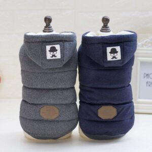 Frenchie World Shop Frenchie's Winter Jacket