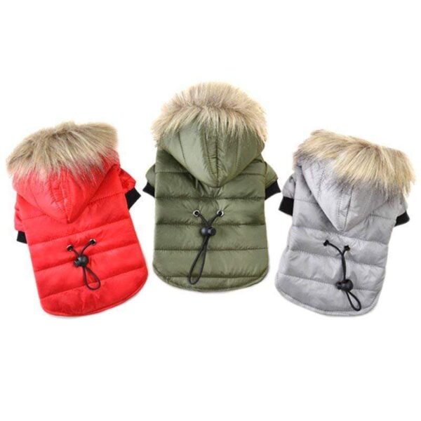 Frenchie World Shop Frenchie Winter Hooded Jacket