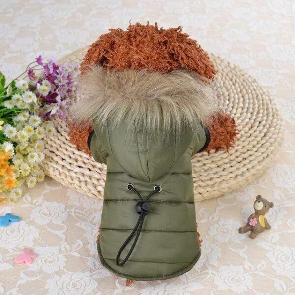 Frenchie World Shop Green / XS Frenchie Winter Hooded Jacket