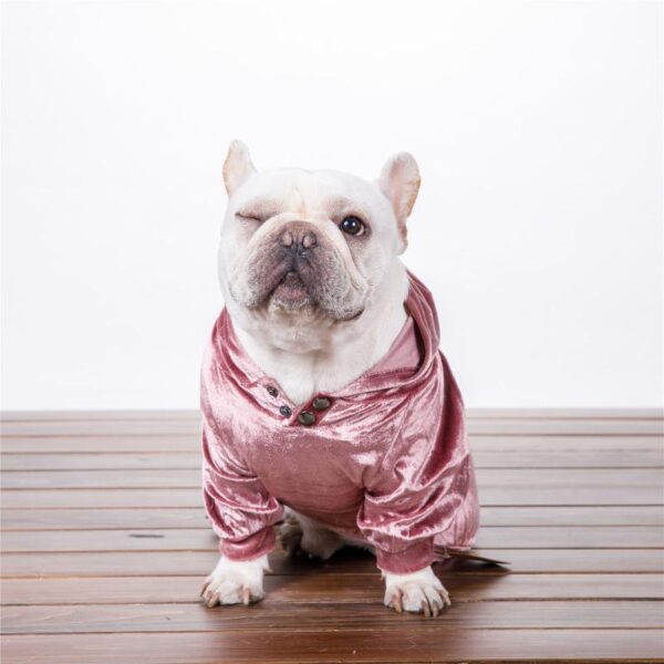 Frenchie World Shop Dog Clothing Frenchie World® "Disco" New Spring Hoodie