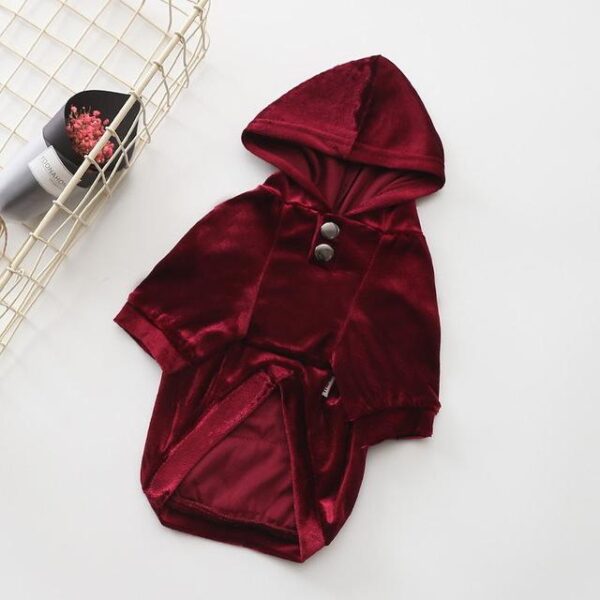 Frenchie World Shop Dog Clothing Wine Red / XS Frenchie World® "Disco" New Spring Hoodie