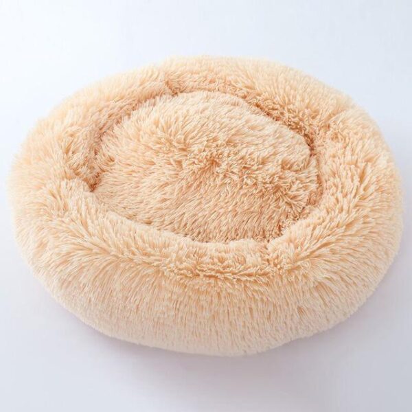 Frenchie World Shop Apricot / 60x60cm Frenchie World® Donut Cuddler Bed