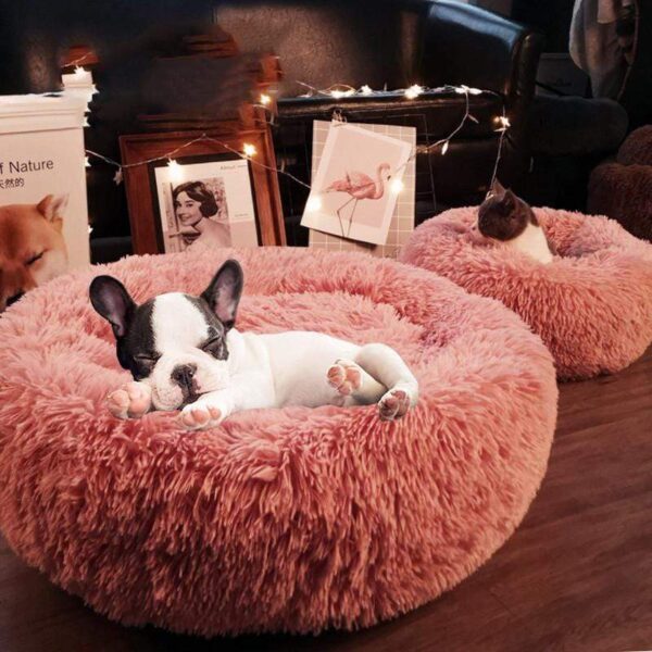 Frenchie World Shop Pink / 60x60cm Frenchie World® Donut Cuddler Bed