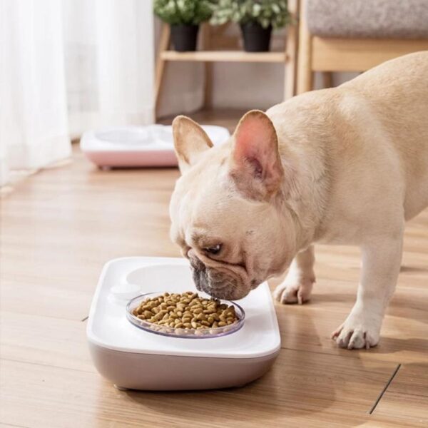 Frenchie World Shop Frenchie World Feeding Bowl With Automatic Water Dispenser