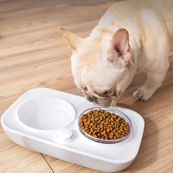 Frenchie World Shop Frenchie World Feeding Bowl With Automatic Water Dispenser