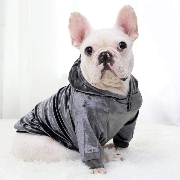 Frenchie World Shop Dog Clothing H / S / CHINA Frenchie World® Hooded Shiny Jackets