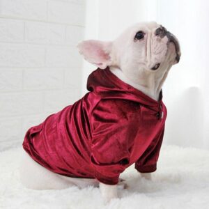 Frenchie World Shop Dog Clothing R / S / CHINA Frenchie World® Hooded Shiny Jackets