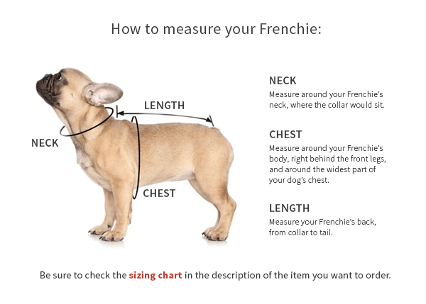 Frenchie World Shop Dog Clothing Frenchie World® light jacket