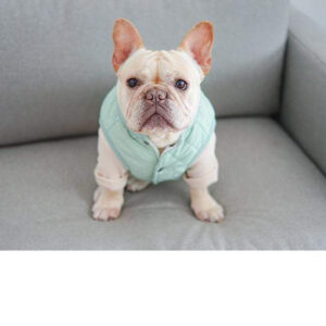 Frenchie World Shop Dog Clothing Frenchie World® light jacket