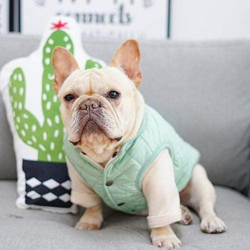 Frenchie World Shop Dog Clothing Frenchie World® light jacket