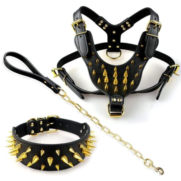 Frenchie World Shop Dog Accessories Frenchie World® natural leather collar, leash and harness set