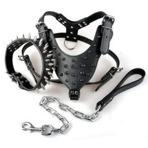 Frenchie World Shop Dog Accessories silver spiked / M Frenchie World® natural leather collar, leash and harness set