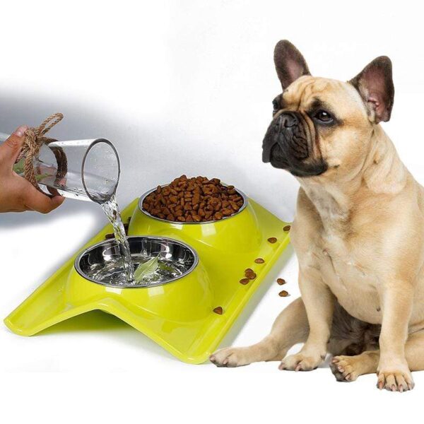 Best feeding bowl for French bulldog