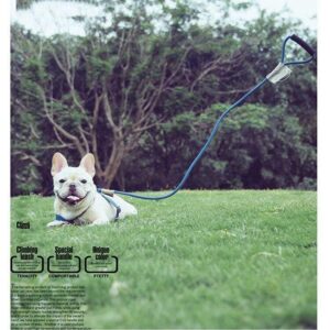 Frenchie World Shop Frenchie World™ Orthopedic Harness