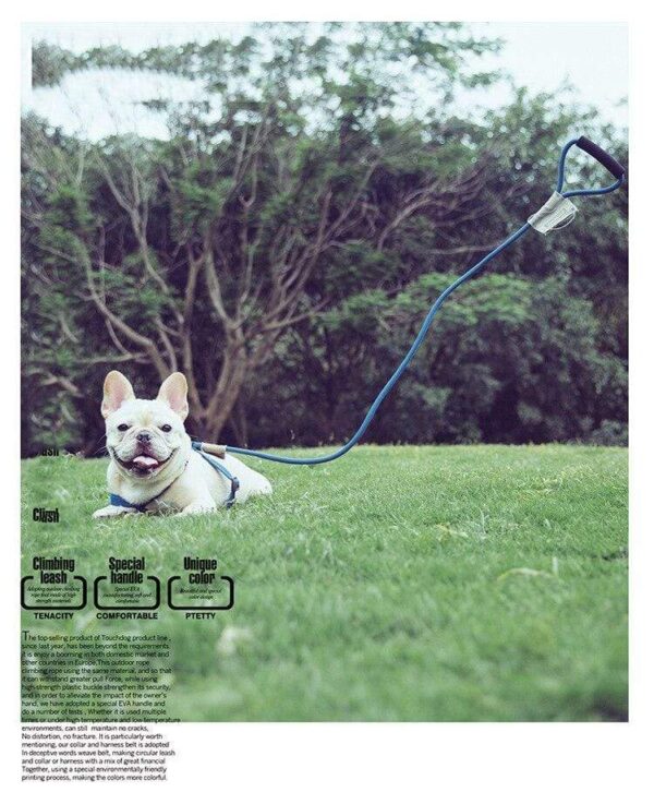 Frenchie World Shop Frenchie World™ Orthopedic Harness