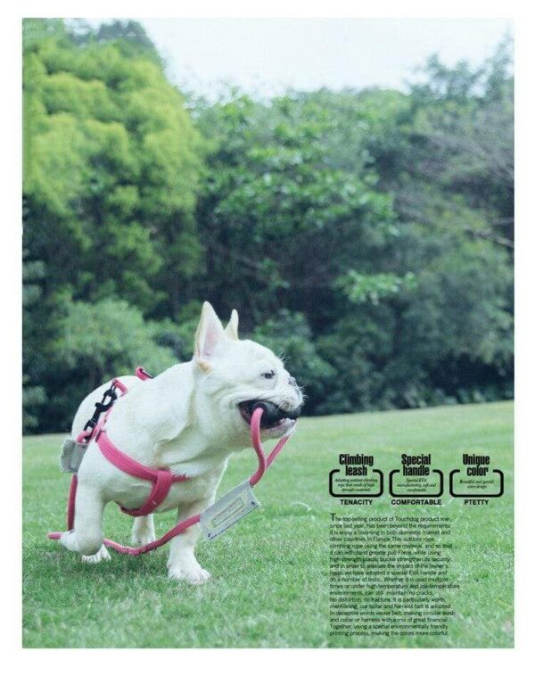 Frenchie World Shop Frenchie World™ Orthopedic Harness