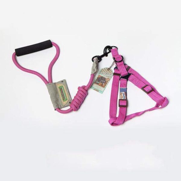 Frenchie World Shop 24 / S 7mm Frenchie World™ Orthopedic Harness