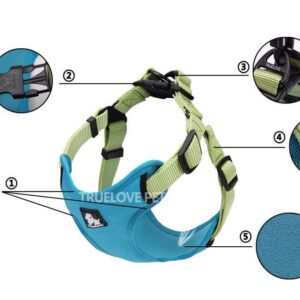 Frenchie World Shop Dog Accessories Frenchie World® Reflective protective harness
