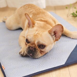 Frenchie World Shop Dog bed Frenchie World® Self Cooling Sleeping Mat