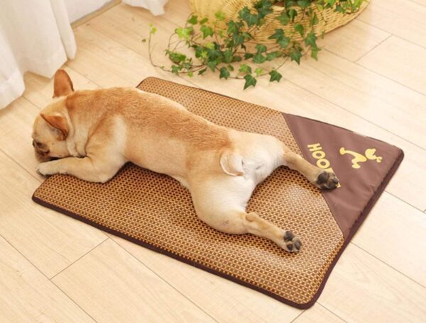 Frenchie World Shop Dog bed Style 2 / S-48x38cm Frenchie World® Self Cooling Sleeping Mat