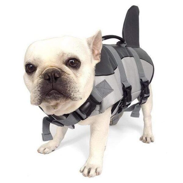 Frenchie World Shop Dog Clothing Frenchie World® Shark Life Swimming Vest