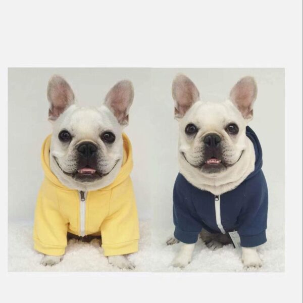 Frenchie World Shop Dog Clothing Frenchie World® SNIFF hoodies