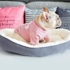 Frenchie World Shop Frenchie World® Sofa Bed