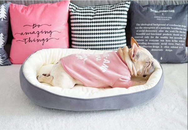 Frenchie World Shop Frenchie World® Sofa Bed